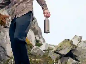 86233010lltravellersmoked pearl9 lp