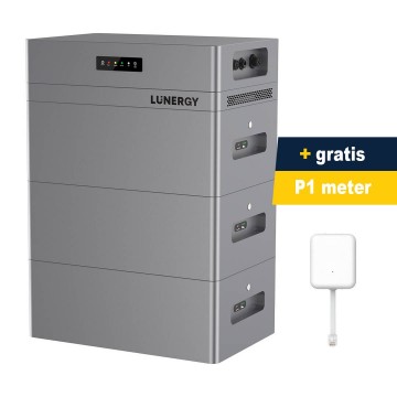 Lunergy  p1 meter 2