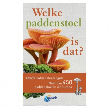 Welke paddenstoel is dat